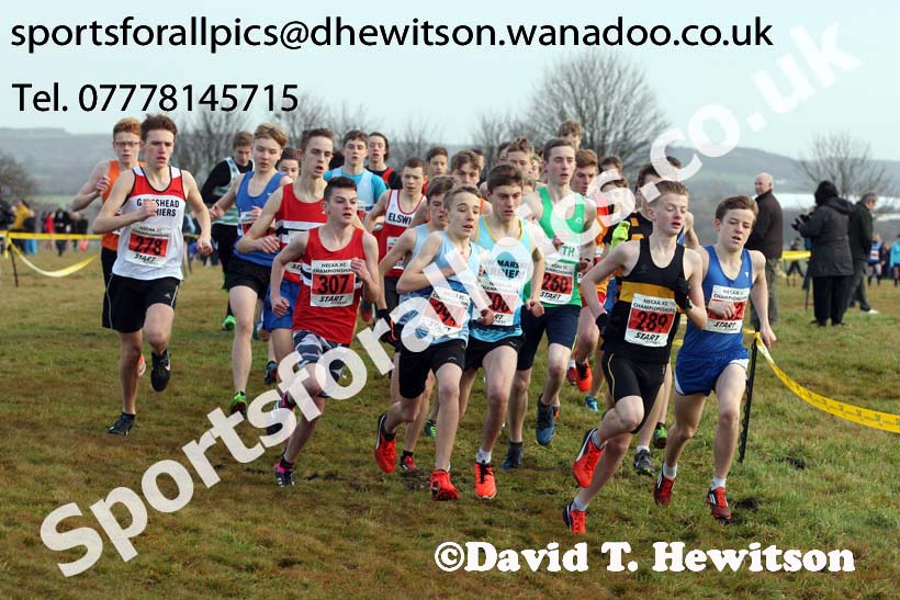Boys under-15s North Eastern Cross Country, Aykley Heads, Durham. Photo: David T. Hewitson/Sports for All Pics